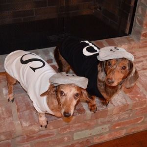 Salt & Pepper Dog Costumes